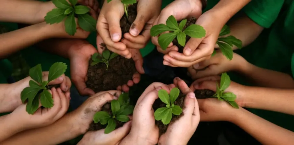 conciencia ambiental