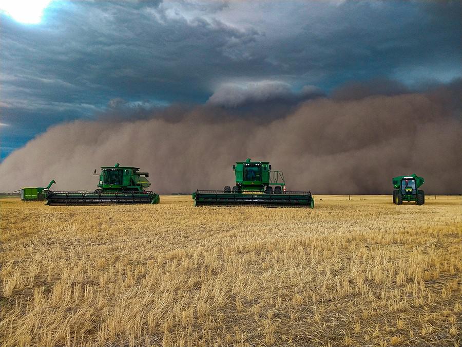 foto del año hernanscherger