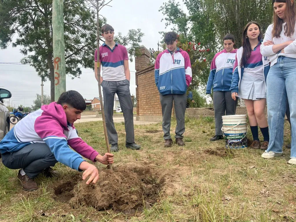 IPSF ARBOLES 11 (FILEminimizer)