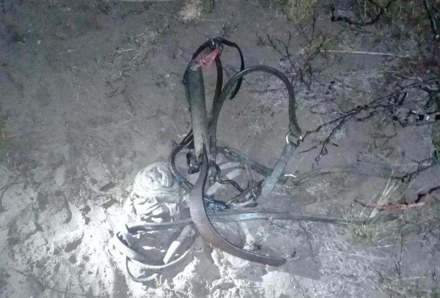 puestero Emilio Mitre perdido