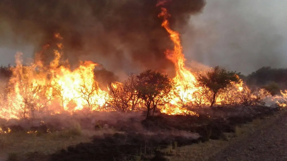 INCENDIOS RURALES