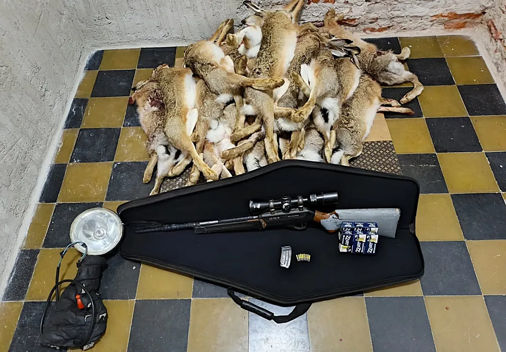 CAZADORES RUCANELO 2