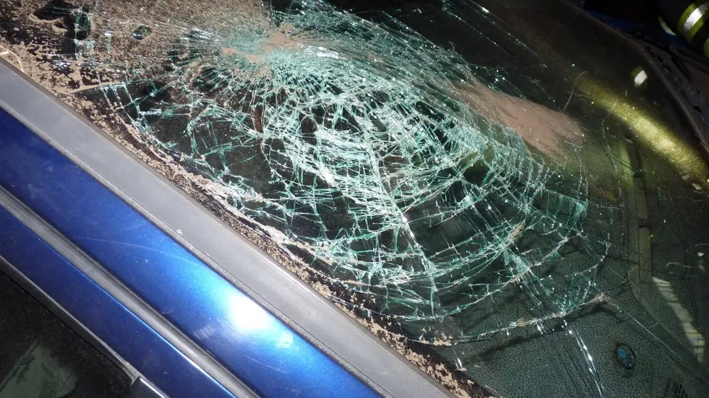 vuelco ruta 35 481 6 (FILEminimizer)