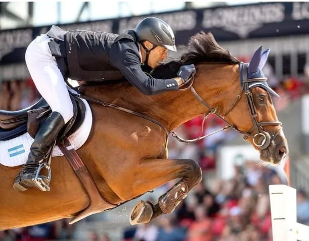 47819c2c-4ba6-43dd-912d-23d13086251d