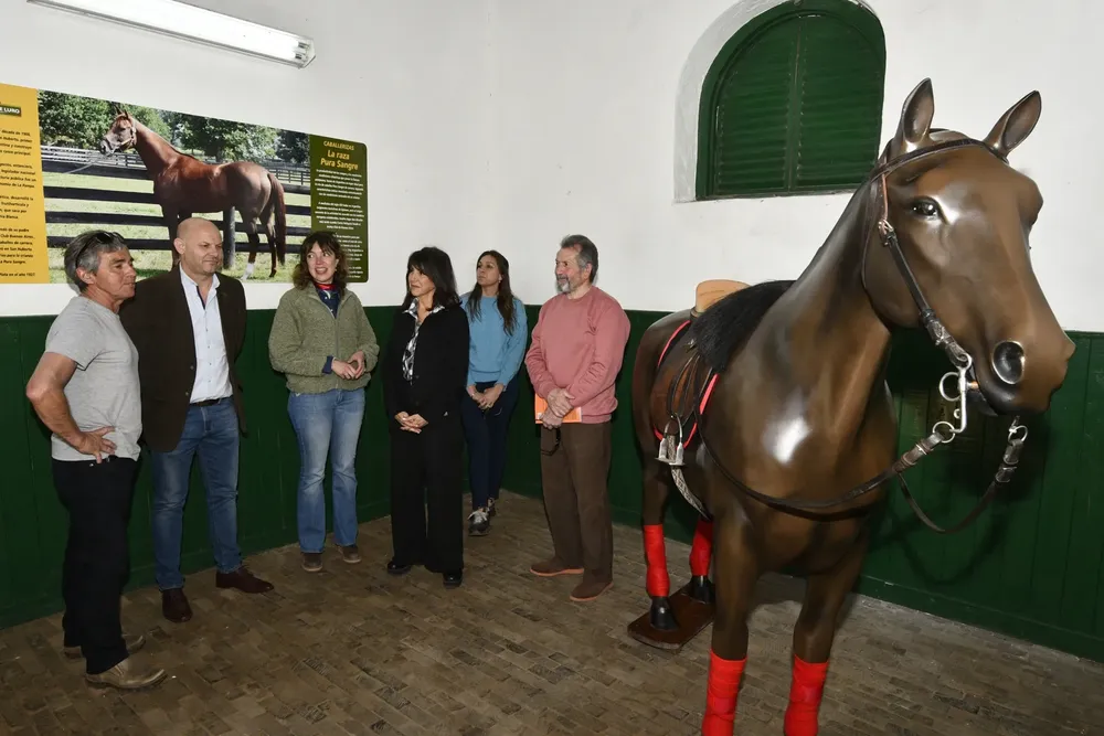 6444976__dsc6131-copia (FILEminimizer)