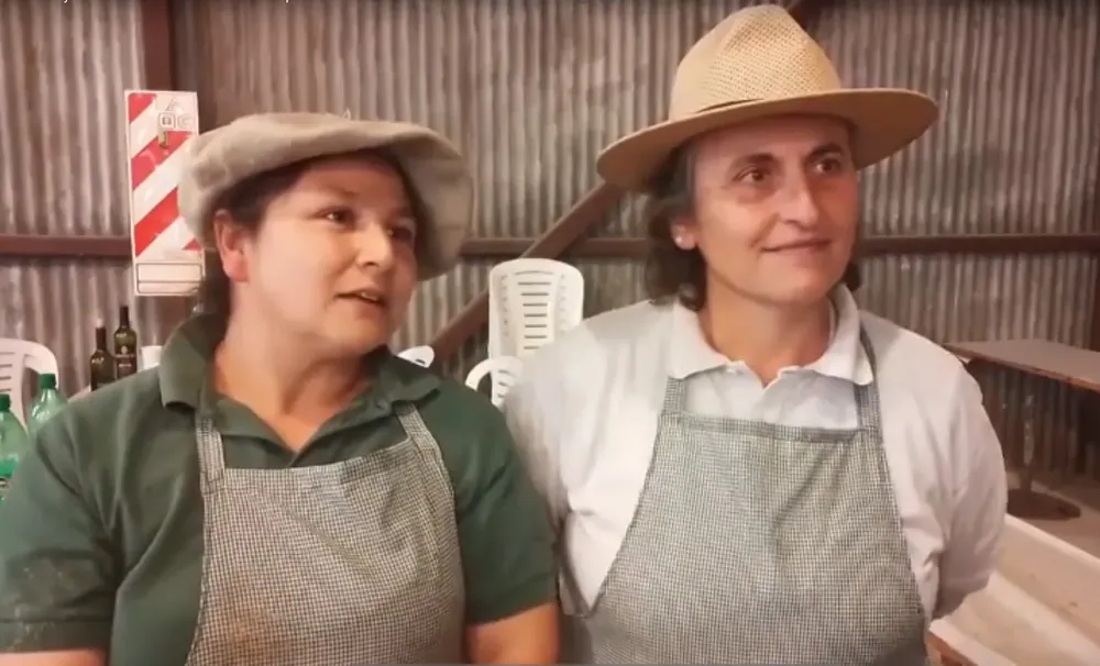 asadoras