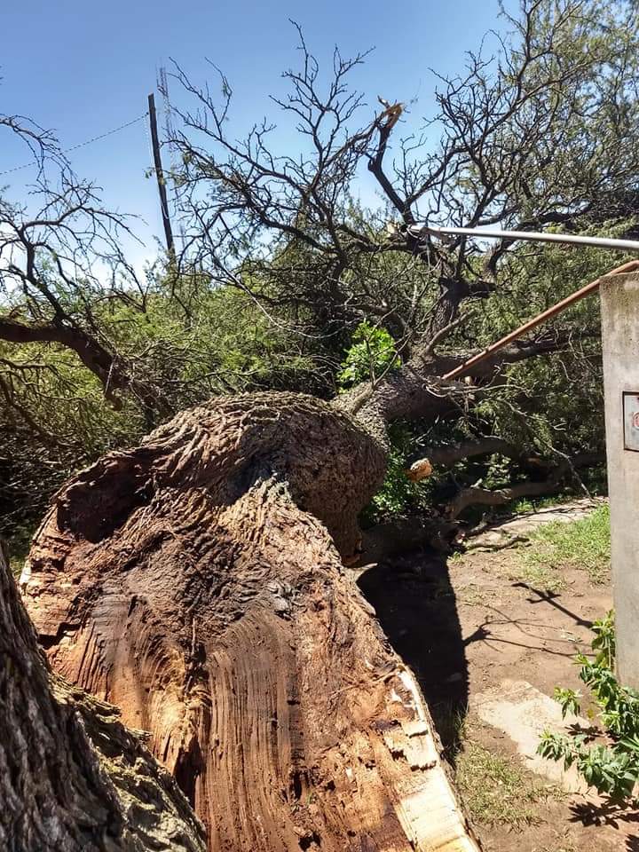 FB_IMG_1546189640721