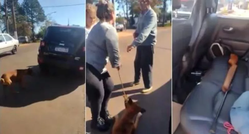perro