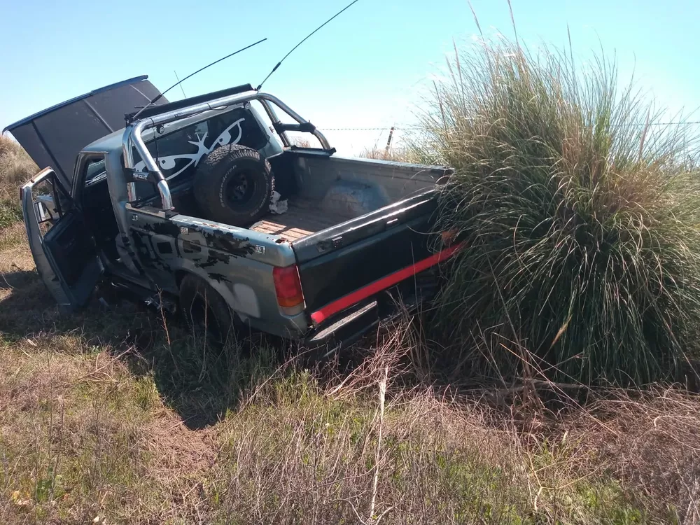 ford despiste