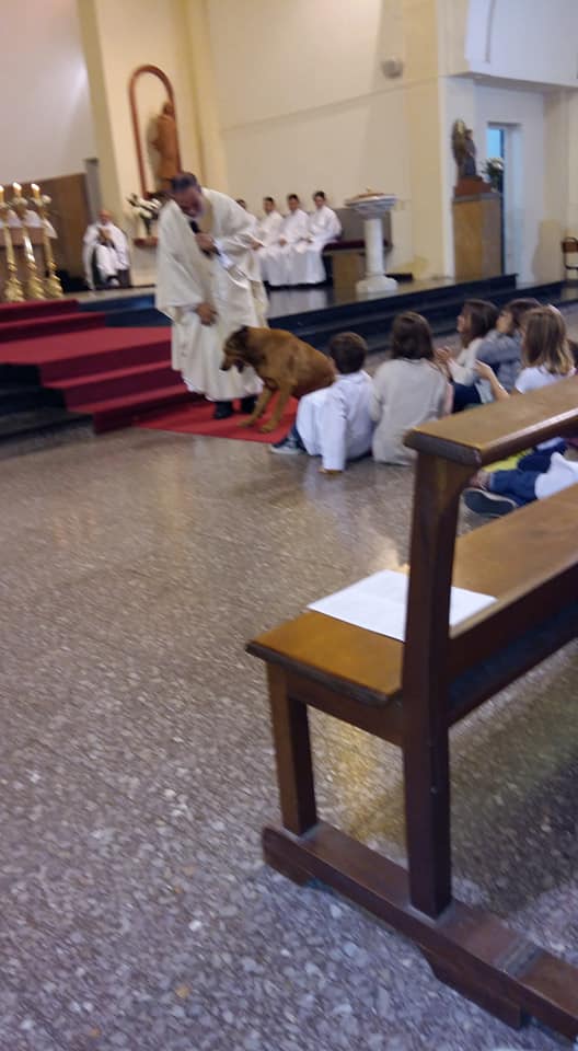 Asuncion Cipolla en Sta Rosa