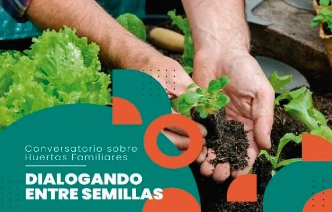 Conversatorio semillas