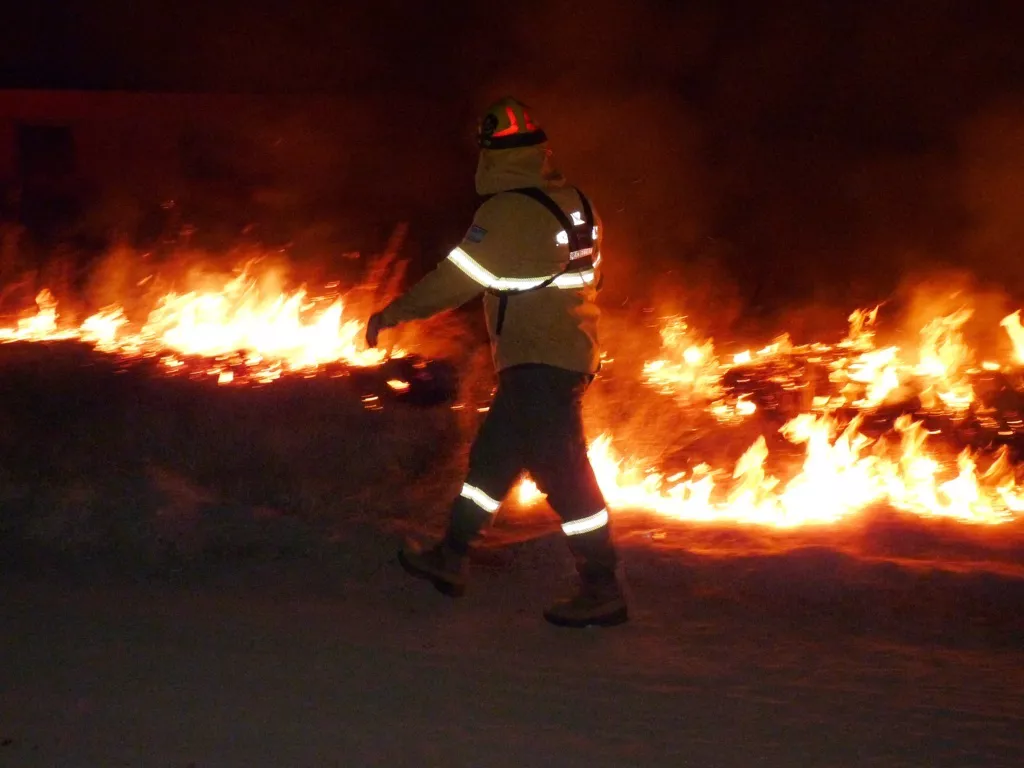 P1140007 (FILEminimizer)