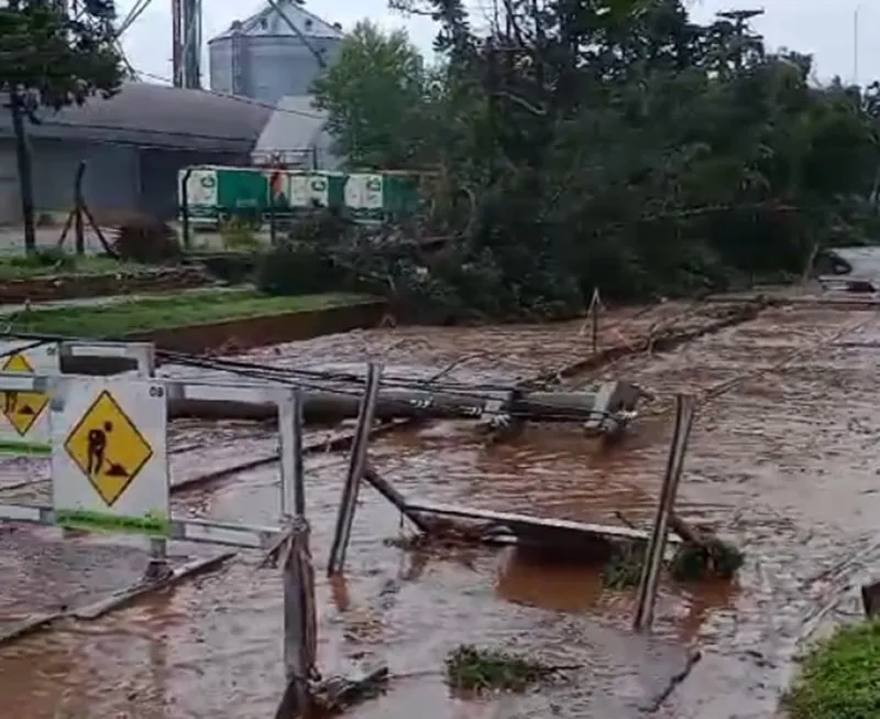 419885257_10232328333060771_8887617817933181915_n