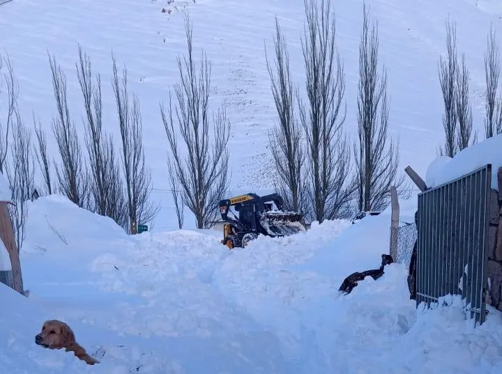 449522892_888548476651097_8544616045808272172_n