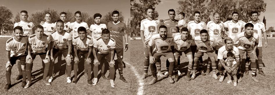 FERRO SPORTIVO SEPIA