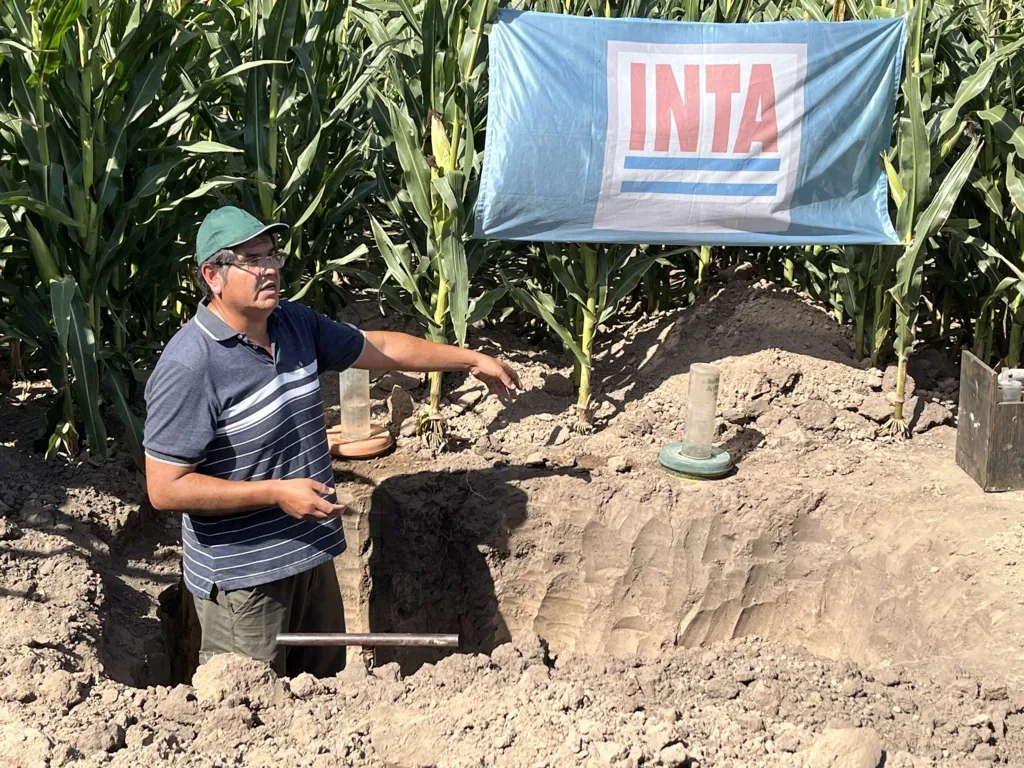 agronehuen 1 (FILEminimizer)