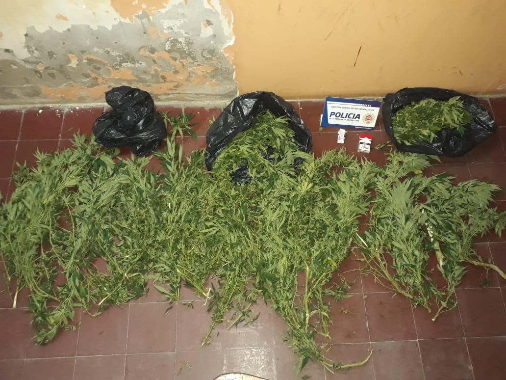 cce10fdf-ed35-420c-87b7-74869fdfac4f