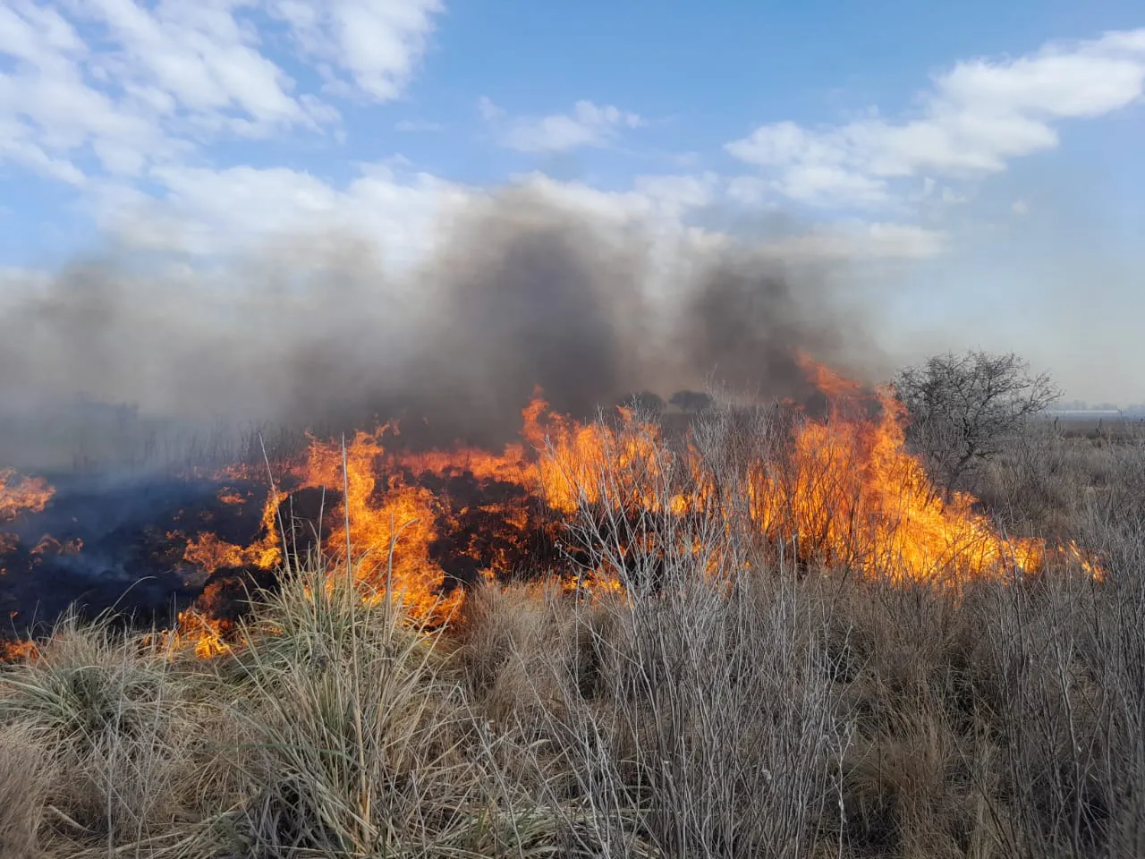 incnedio villa huidobro 1