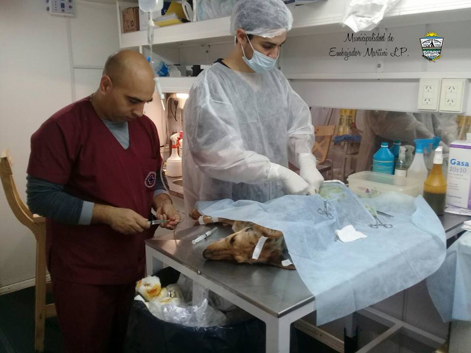 32253574_447748065654233_4460391208400715776_n