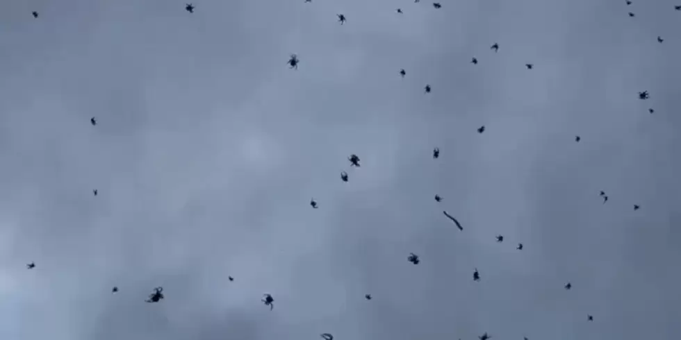 ARAÑAS