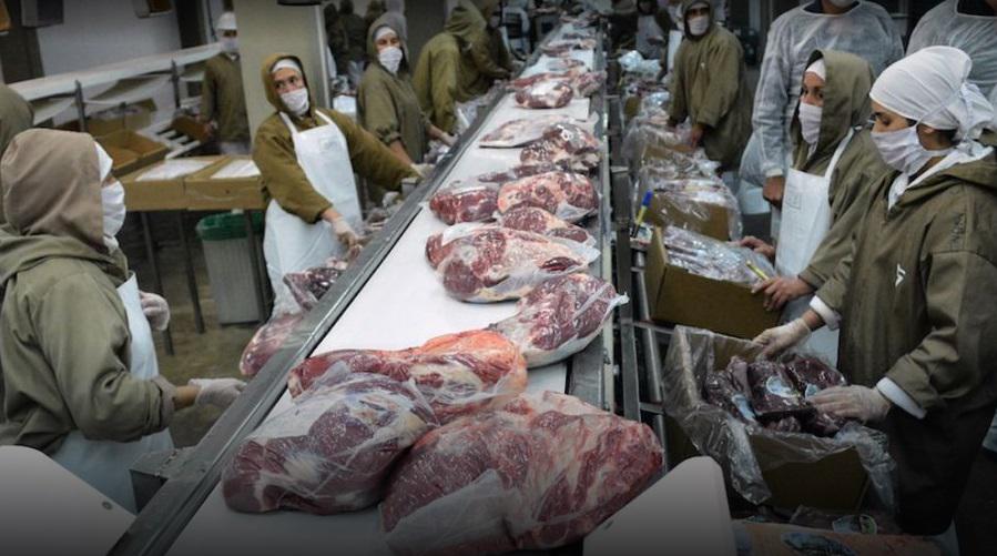 exportaciones de carne