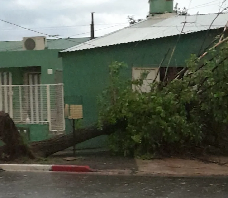 1198db0f-9ff1-4a66-9f12-057b4f748c85