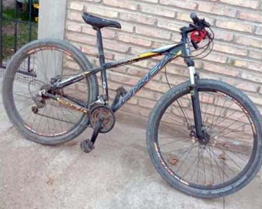 bici robada pp