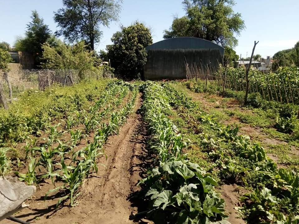 PRODUCTORES AGRICULTURA FAMILIAR 2