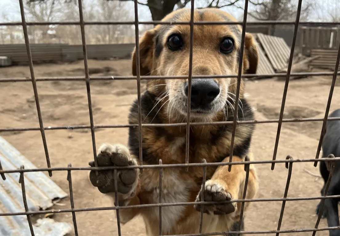 epet araa 5 (FILEminimizer)