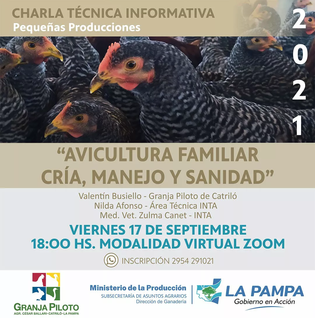 avicultura