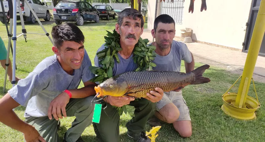 pescador tapalque