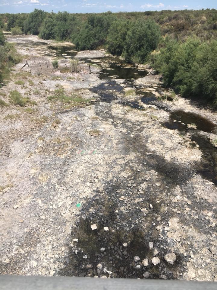 26992282_10211256636711715_3876363609492823686_n