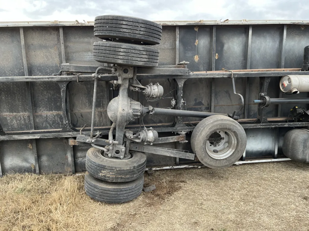 CHOQUE DITZ 6 (FILEminimizer)