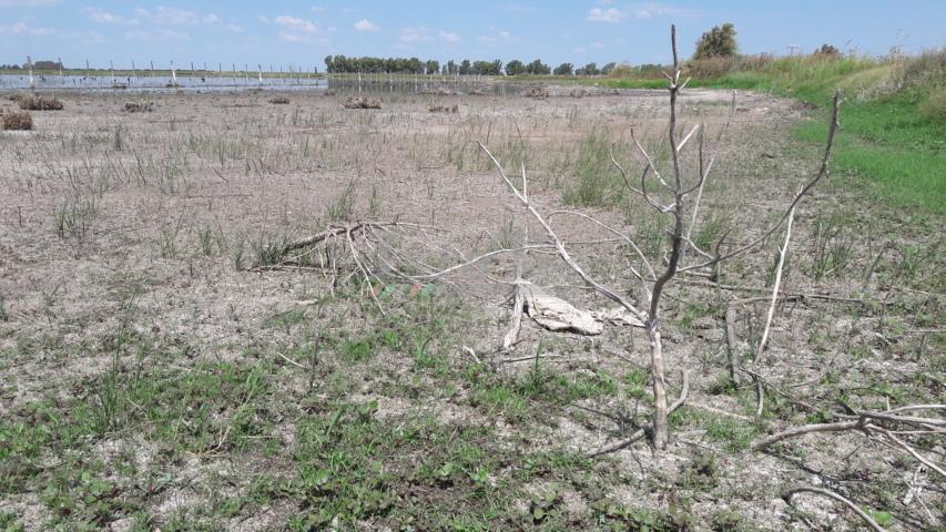 20180122_151753(0) (FILEminimizer)