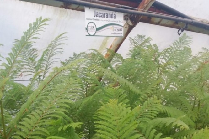 5d2cf8c648380-fit-666x444