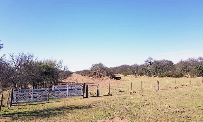 campo asaltado