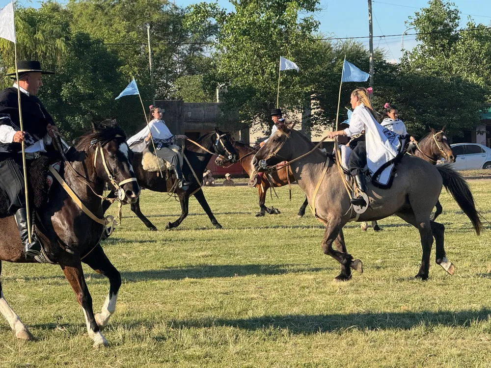 75501556-ac54-4916-aef9-cff911502454