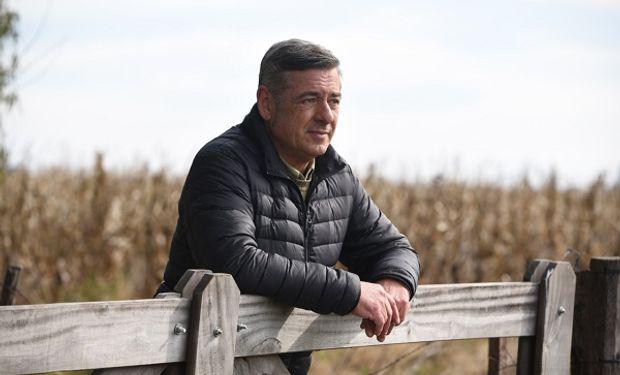 pino rural