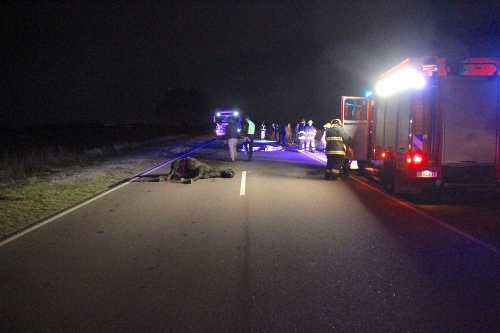 accidente pico