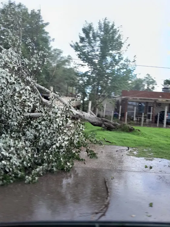 414332331_7366291693382439_947150540153719258_n