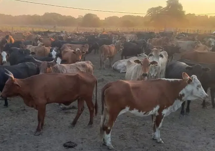 481671040_965210072456207_759126169086980568_n