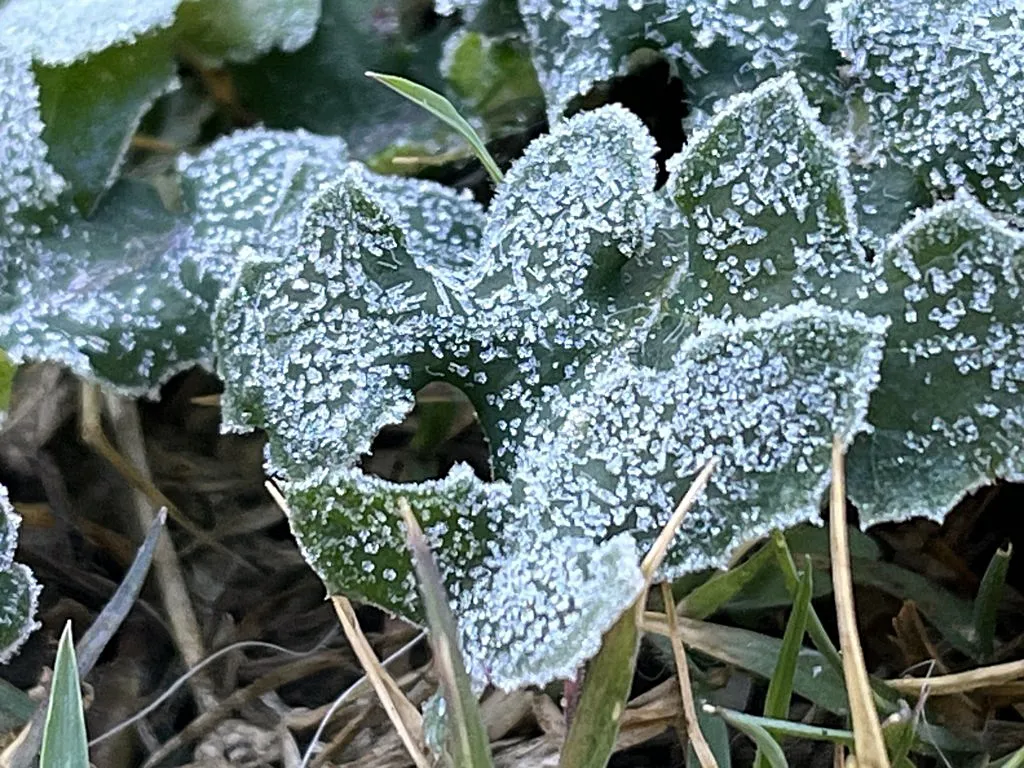 IMG_4032 (FILEminimizer)