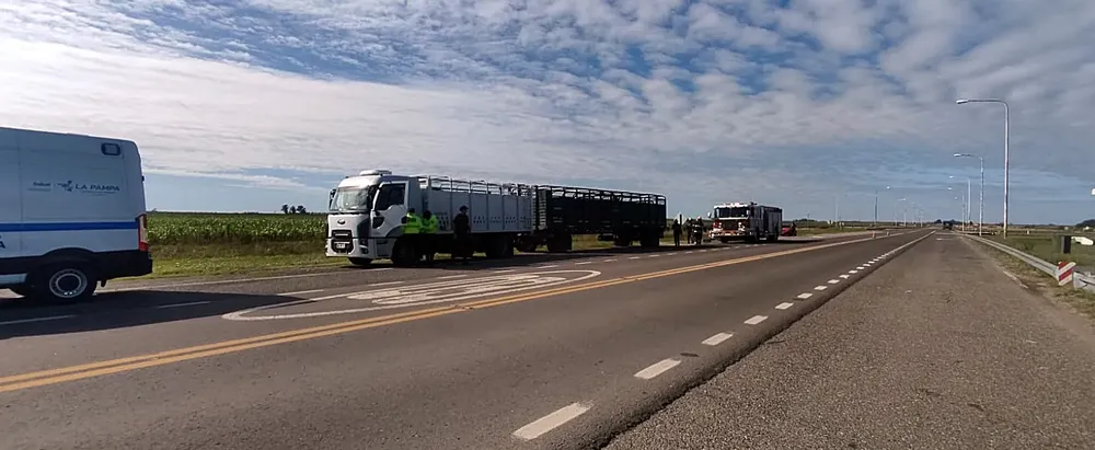 CAMIONERO DORMIDO MARTINI 2