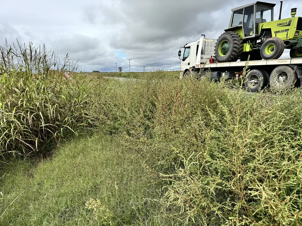 ruta 101 falucho yuyos 3 c