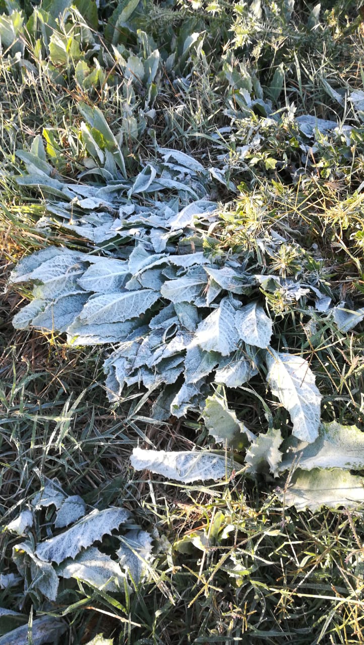 1c591b89-abf8-431a-8b63-5e0c03ba702a