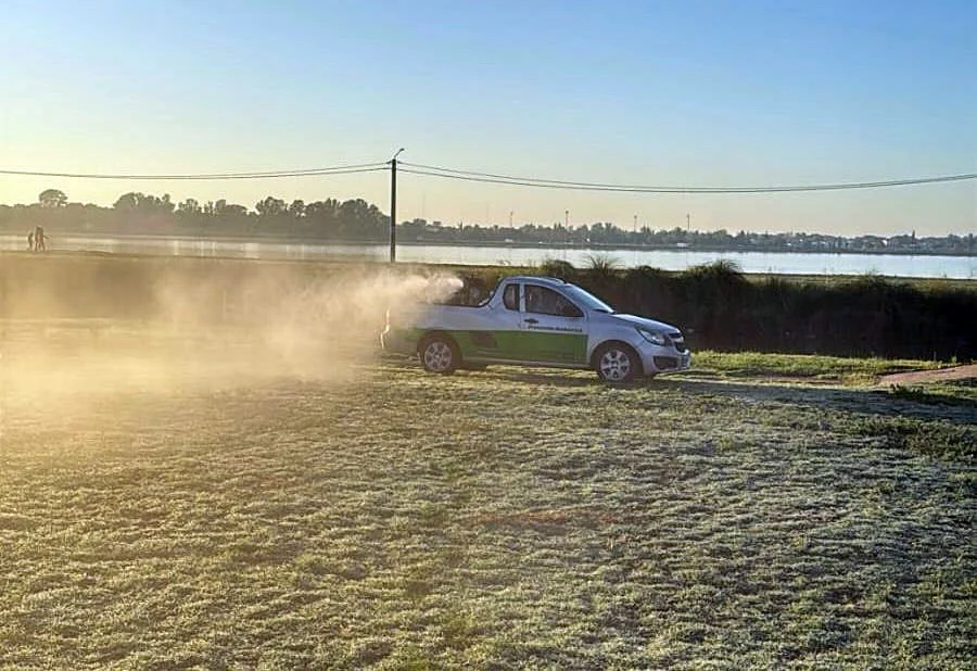 FUMIGACION SANTA ROSA