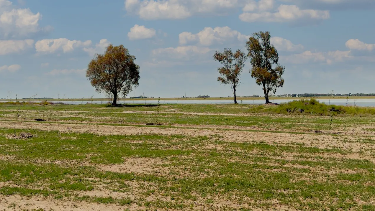 LAGUNA CHADILAUQUEN MARTINI 3