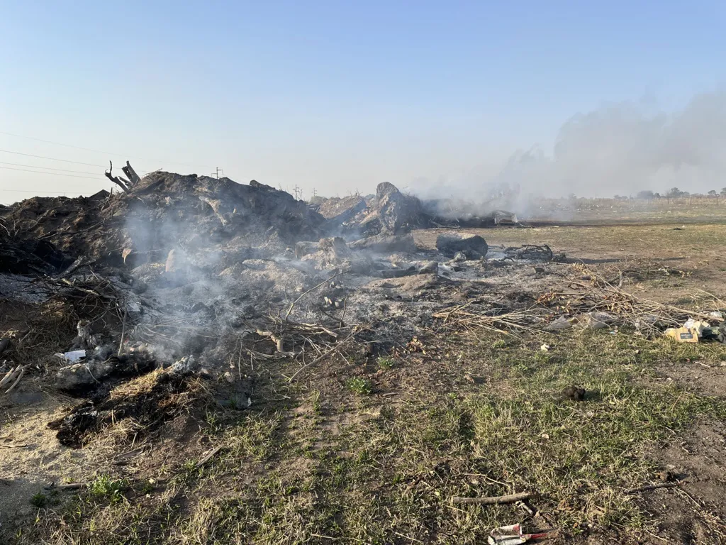 basurero ramas humo 2 (FILEminimizer)