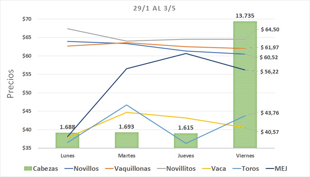 WhatsApp-Image-2019-05-03-at-19.44.30 (1)