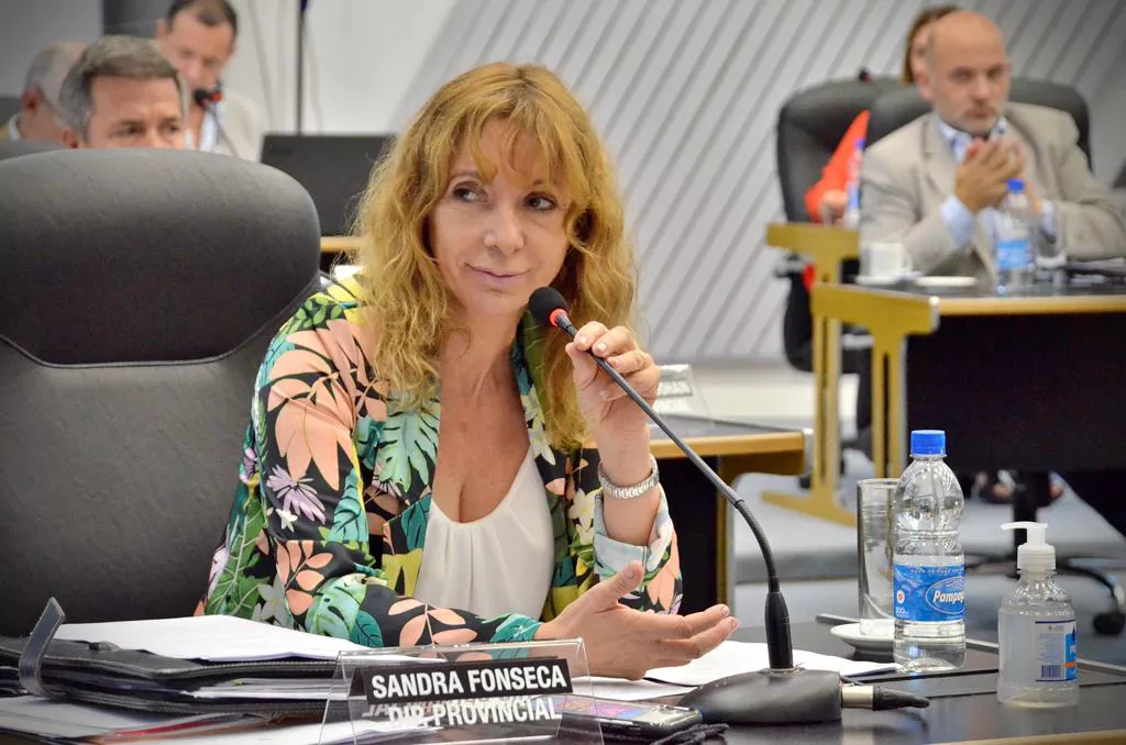 Sandra Fonseca estampado